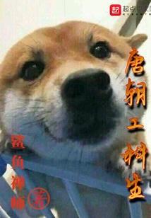 几许情深