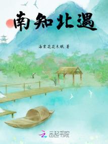 此心流景