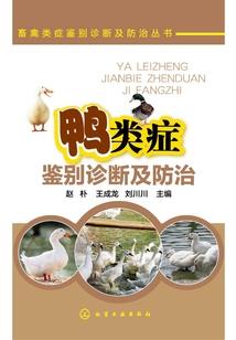 织魂师外传