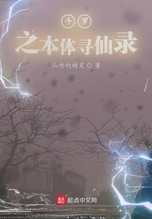 铁顶寨传