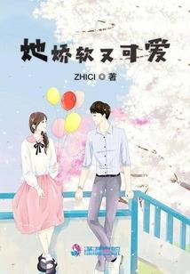安家的决定