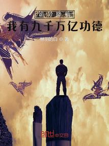 光与暗之翼