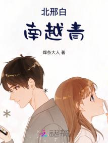 大盗风云录