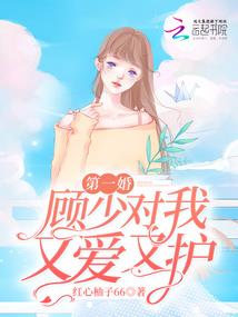都市武侠之高手pro