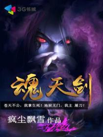 情仇十一剑
