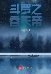 一本法之书