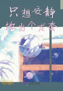 天地大陆之龙图腾