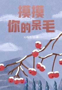 穿越到自己的小说里怎么办