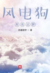 岚书