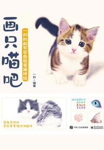 少年的二三事