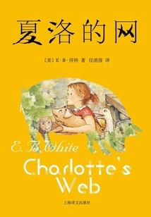 奇特的书