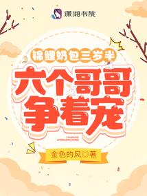 极盗天机