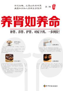 精灵之传承系统
