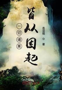 二次元之羽翼