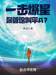 盗圣—叶飞花