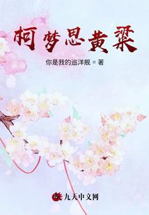 特工纵横录