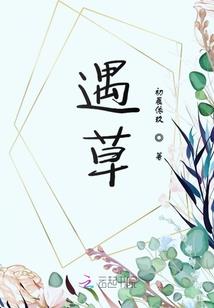 海贼之我的猎物