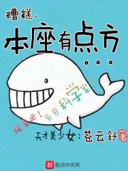封轩传