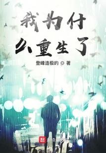 凰舞苍宇