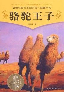 御四方