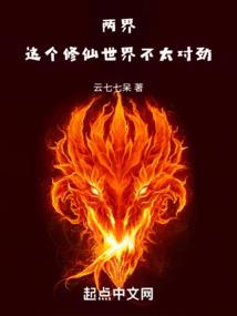 神奇宝贝之魂之魔术师