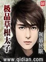 我是一个小混子