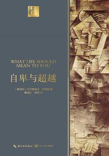 赛尔号双生情缘