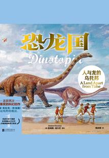 案之彼岸