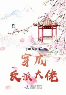 见习天神系统