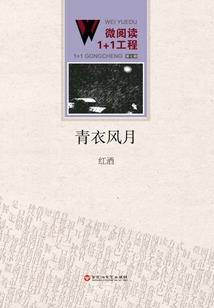 复仇之水晶之恋