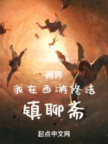 轮回之寻光