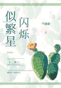 网王之美璃