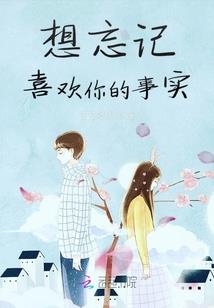 最终圣骑
