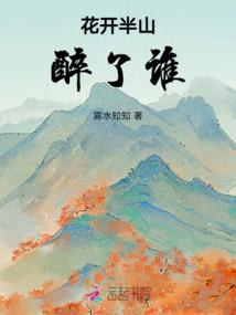 穿越之民女为妃