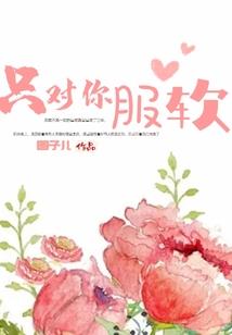 夜之仆
