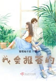 精灵：在下电疯子