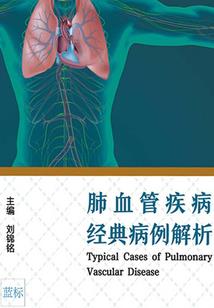 危险游戏之藏猫猫