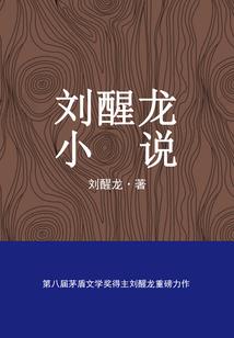 少年寻忆记