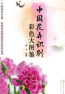 星际战旗