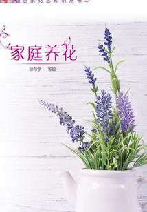 魔与兽之魔修
