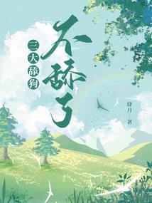灯卷——轮回章