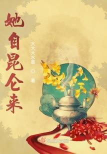 美女老板的极品高手