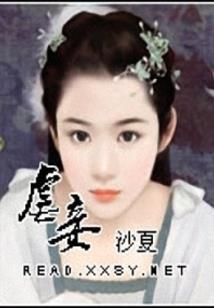 双剑驰骋之舞