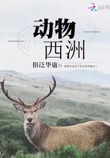 荣耀李白之龙战在野