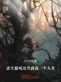 我喜欢你，从开始到结束