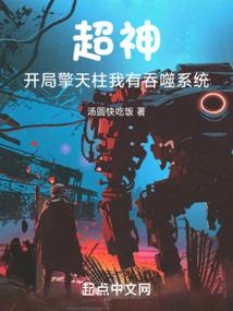 总裁的终极保镖