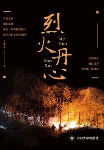追婚：嫁给我吧（大结局）