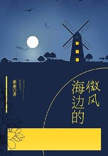 圣菲蒂斯之纯爱之恋