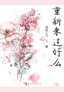 半年期限