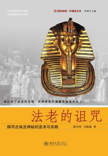 塞尔达王国之泪神殿篇